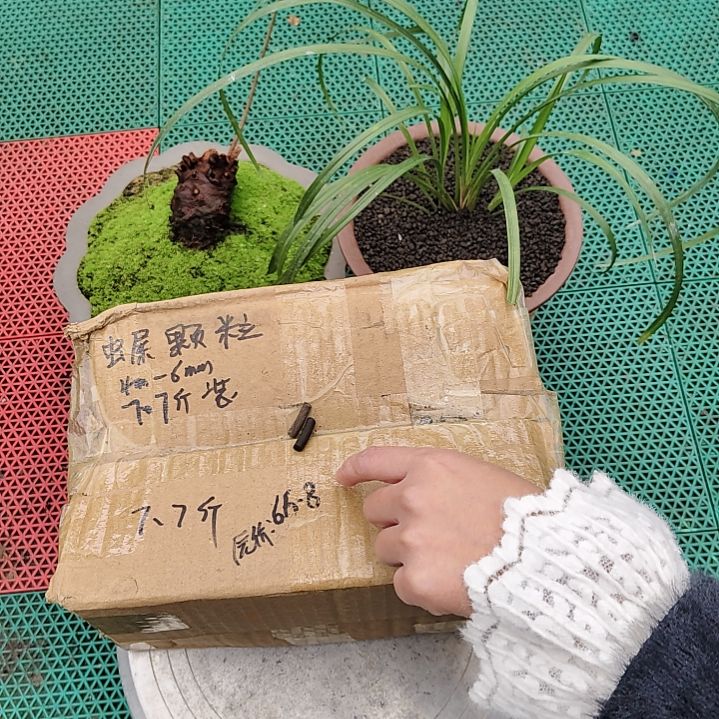 龙***首兰菌黑山土虫屎颗粒7.7斤