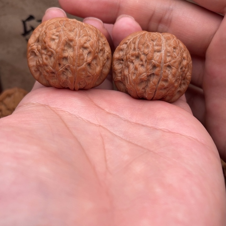 把件文玩核桃36血麒麟