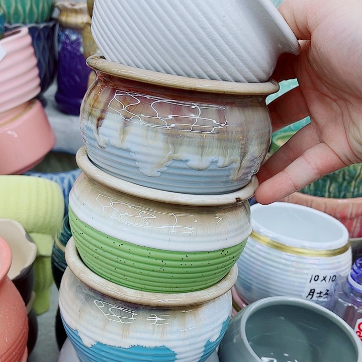 多肉植物陶瓷花盆