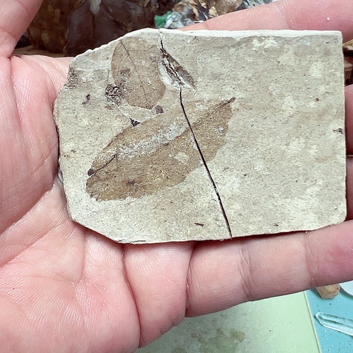 未镶嵌珠宝半成品水晶ﾞ*桃