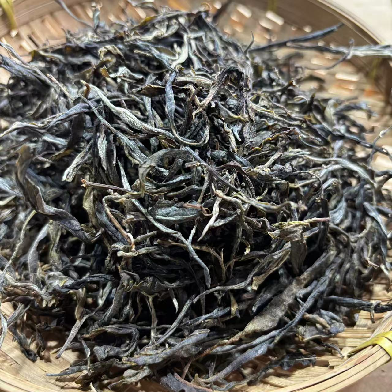 674号2025年森林高杆春茶大树生茶散茶200克10-4