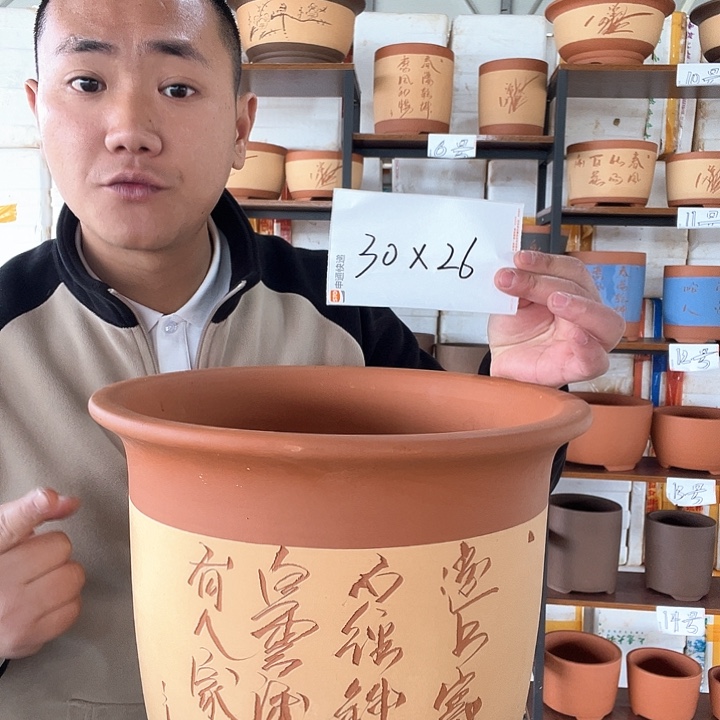 紫砂我也想吃你做的饭