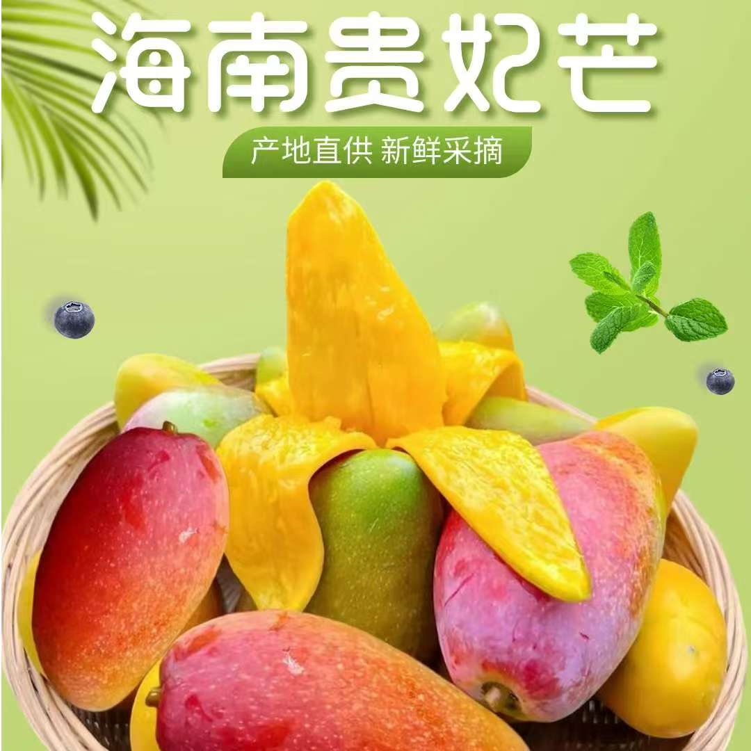 海南树熟贵妃芒 贵妃芒 红金龙芒果 现摘现发 产地直发