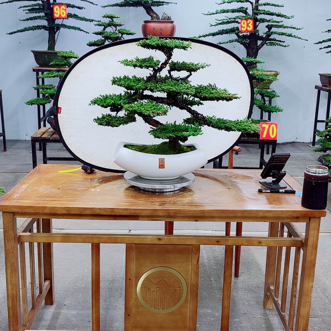 无花朵直播间一物一拍