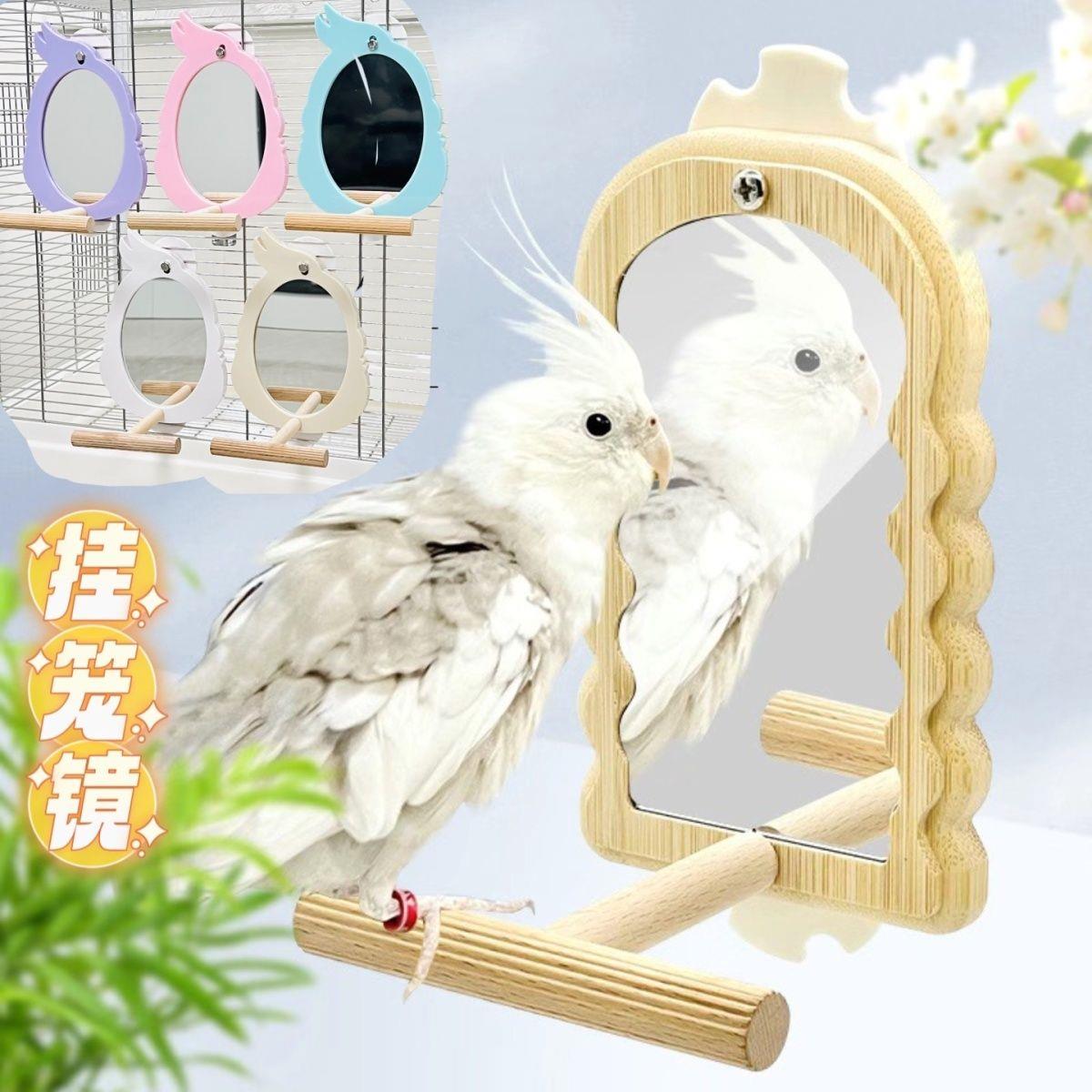刺星球鹦鹉镜子装饰楠竹挂笼镜虎皮牡丹玄凤镜子玩具站架小鸟镜子