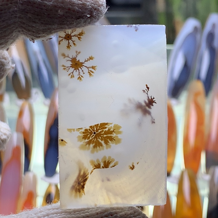 未镶嵌颈饰玛瑙/玉髓177