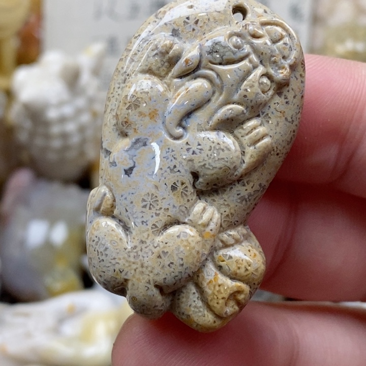 颈饰未镶嵌硅化珊瑚（珊瑚玉）