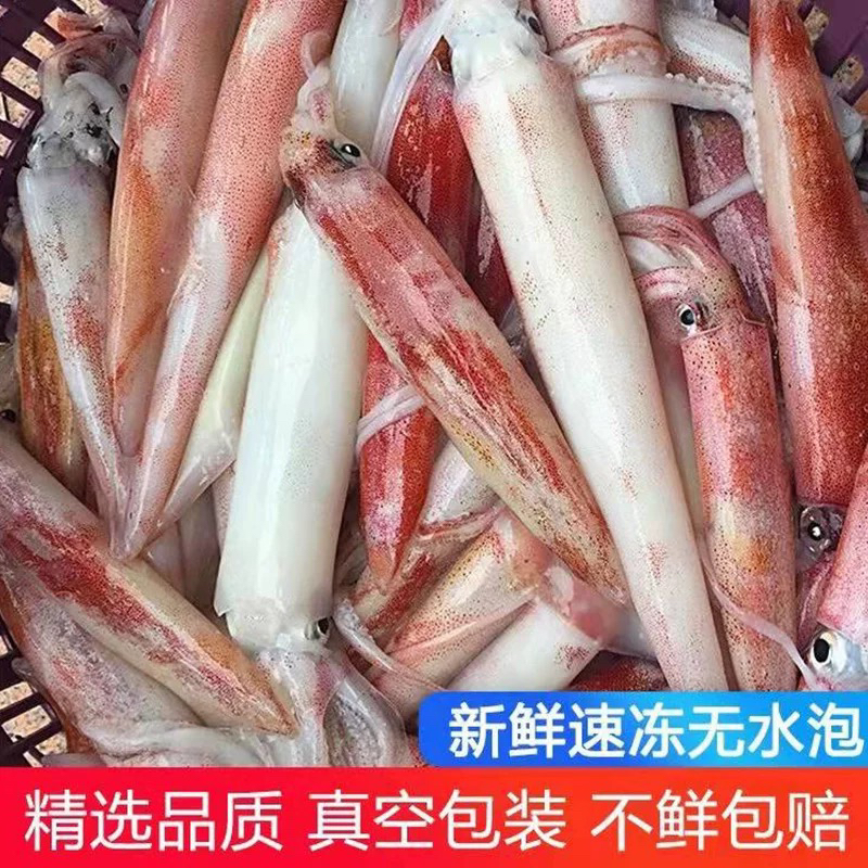神泉手钓鱿鱼不缩水无泥无沙3-4个装400克／5盒