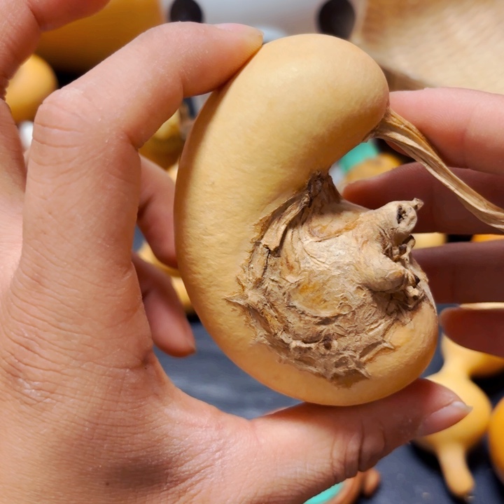 一****宴8888888888888888888