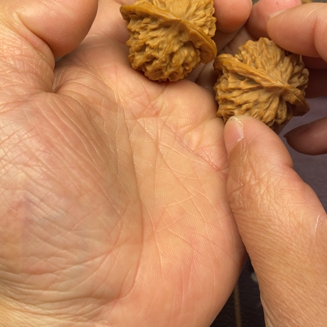 秦岭南侧与黄河北岸之间