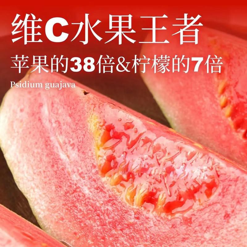 海南红心芭乐整箱1.5公斤包邮到家新鲜