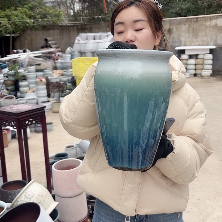 红陶口 20高30一个白绿老桩