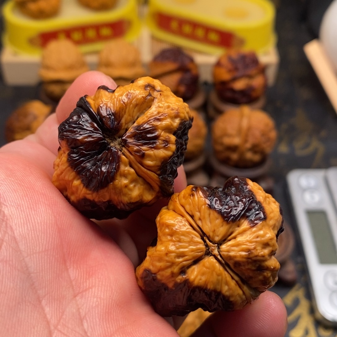 桃核把件小**、帝王龙脊