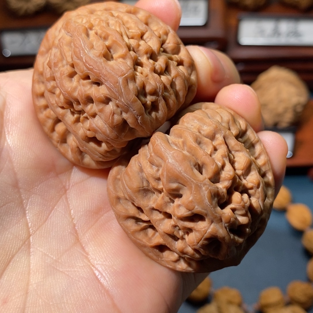 猴头核桃吊坠九龙全品40