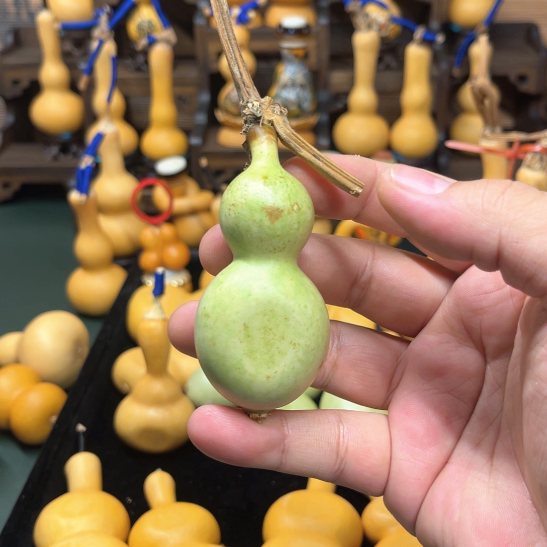 爱***走葫芦哈哈哈哈哈哈哈哈哈