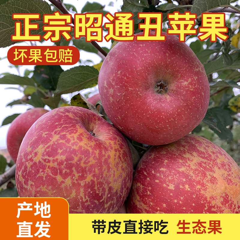 双11云南昭通应季冰糖心丑大果苹果水果脆甜多汁清甜爽脆昭通苹果