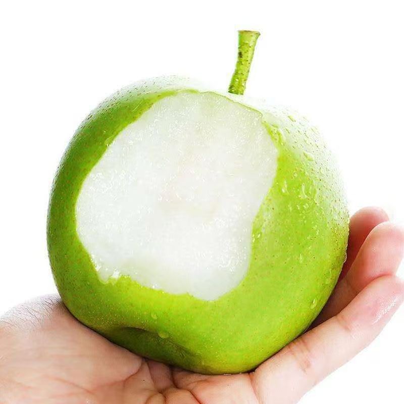 【现摘现发】头茬苹果梨新鲜水果青梨子皇冠现摘清脆当季水果