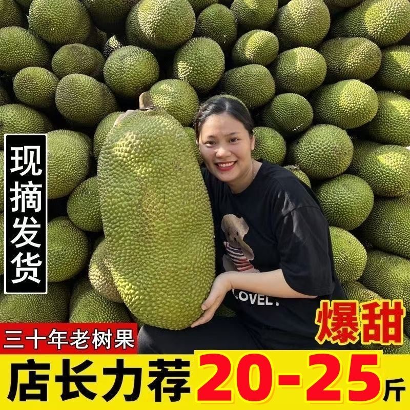 【挑果2】菠萝蜜海南正确剥法怎么剥开看熟没熟产地直发包邮一整个