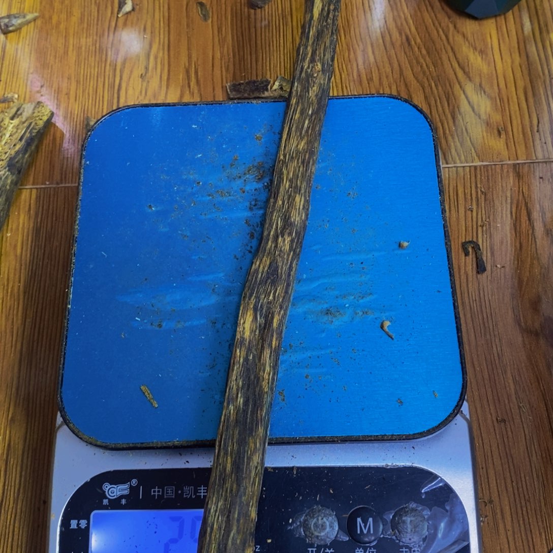 可***蓝沉香沉香碎屑棋楠蓝香块料25克