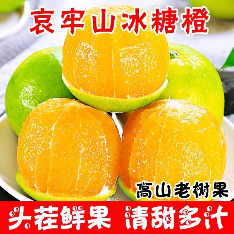 云南哀牢山冰糖橙子青皮水果新鲜应当季清甜多汁现摘现发皮薄肉厚