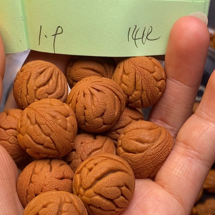 吊坠桃核秦岭龙纹桃核19尺寸