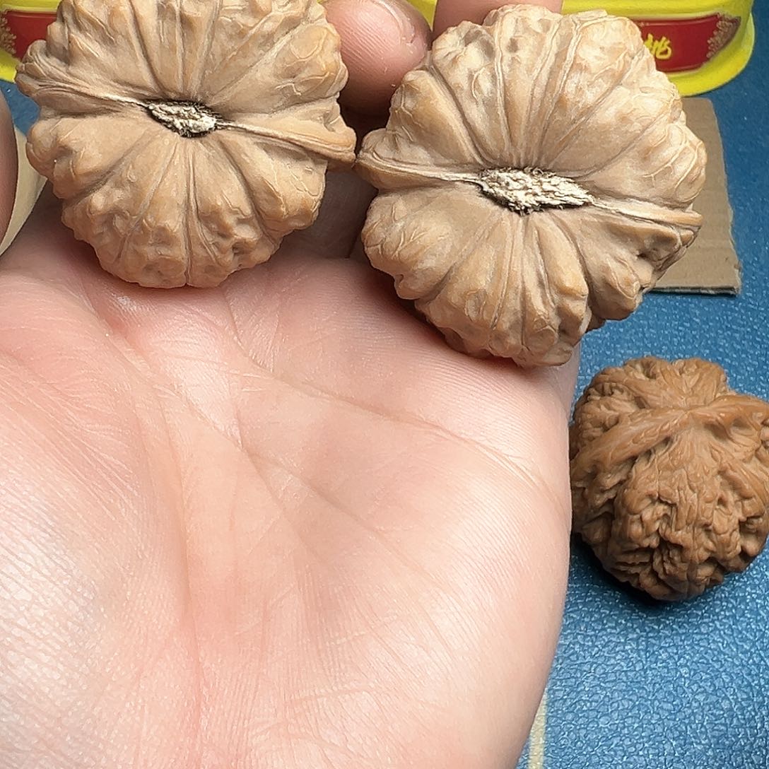 文玩核桃把件45南瓜墩