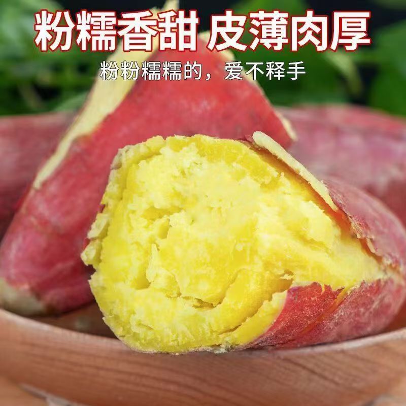 【正宗板栗红薯】现挖山西黄河滩沙地板栗红薯地瓜干面粉甜番薯整箱