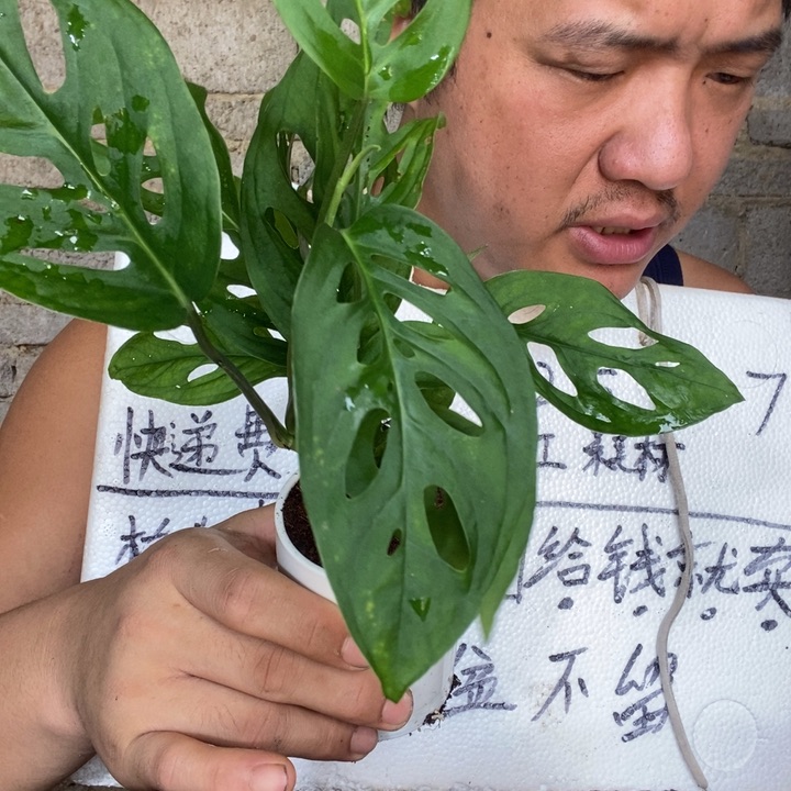 退款拉黑一物一拍62