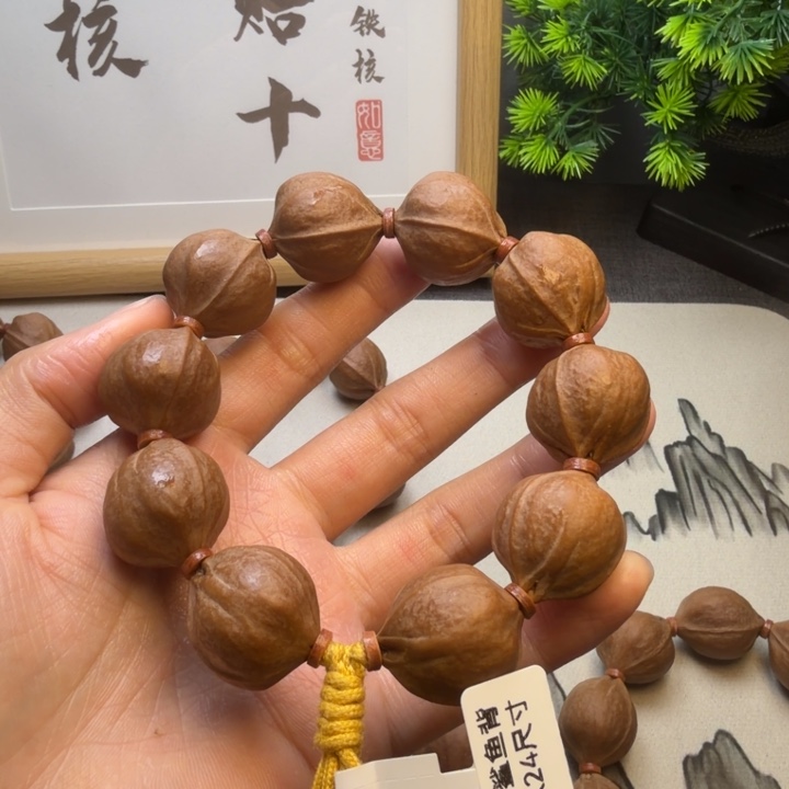 丰***理橄榄核其他梅林铁核2224尺寸