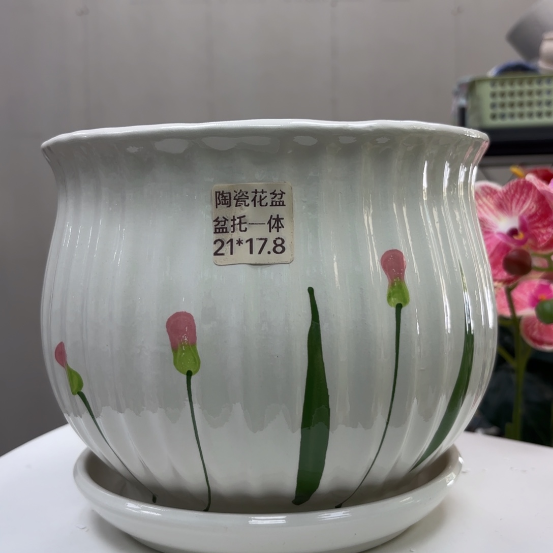 @夏西陶瓷花盆@@5538399