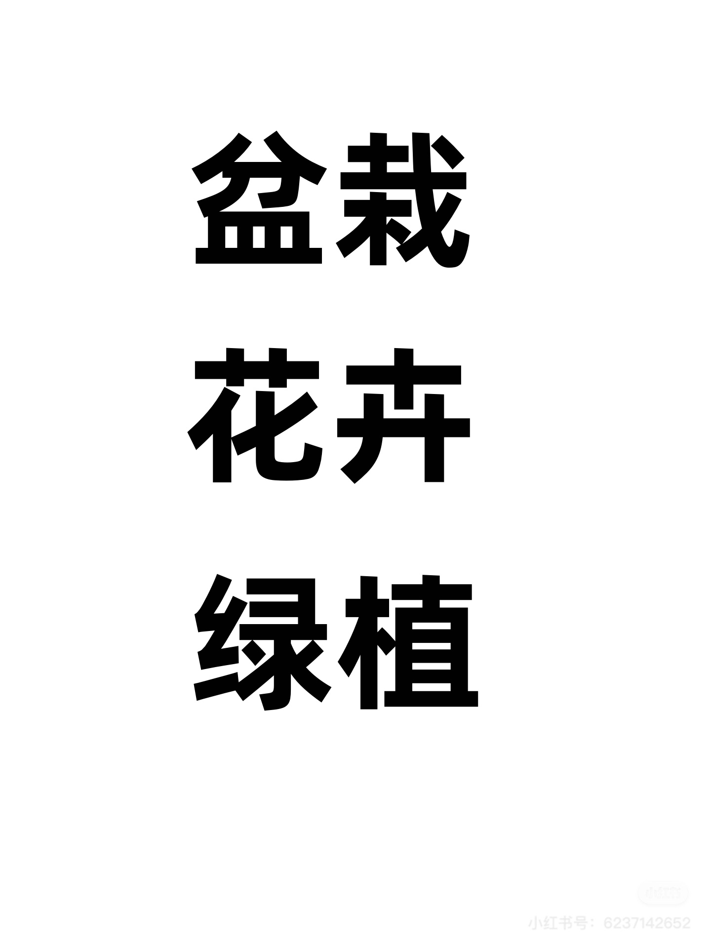 绿植原盆原土花卉盆栽地栽