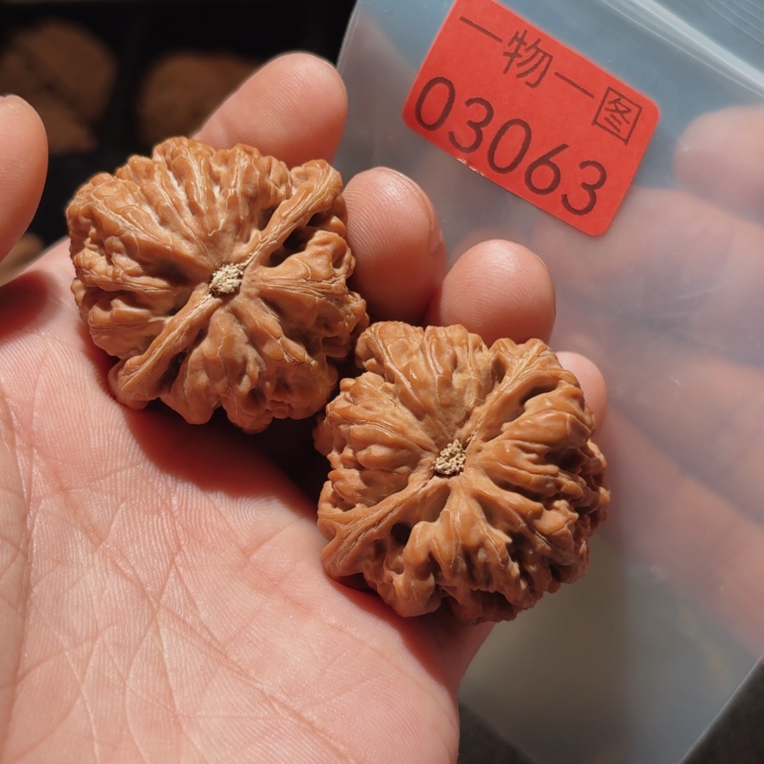 文玩核桃把件小粗筋