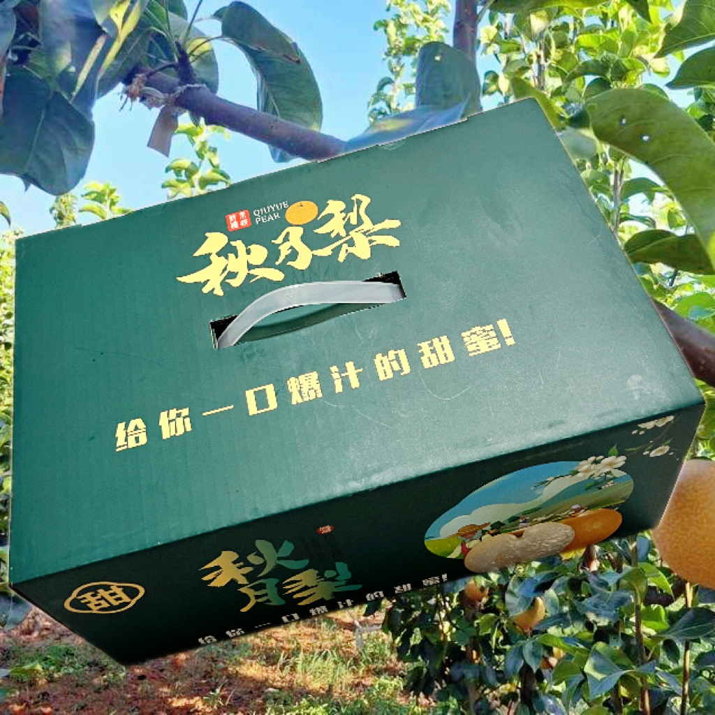 【礼盒大果！颗颗精选！】山东正宗秋月梨、应季新鲜梨子纯甜多汁！S