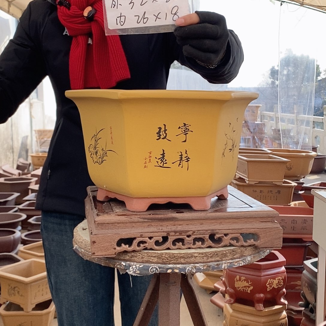 紫砂花盆紫砂花盆