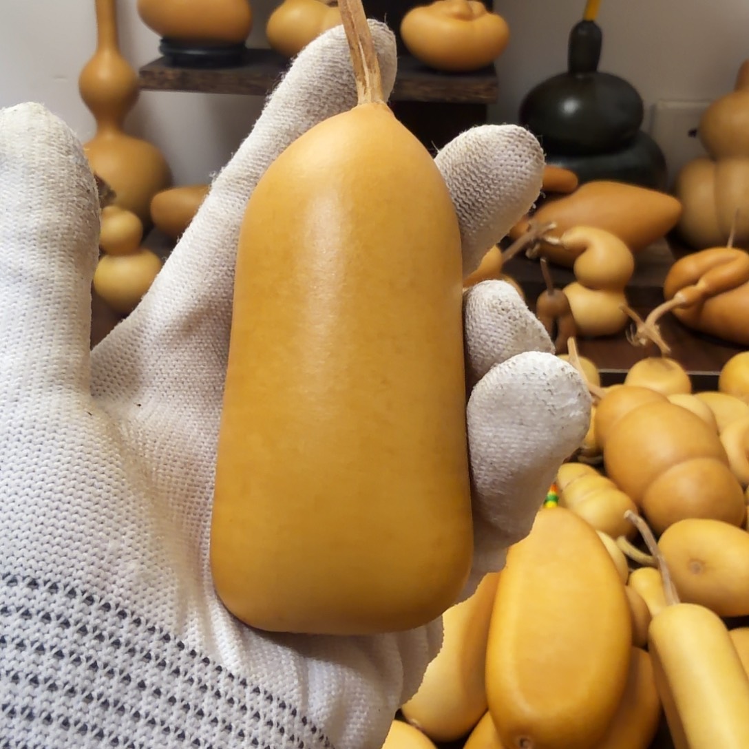 甦***6纯天然的真葫芦44