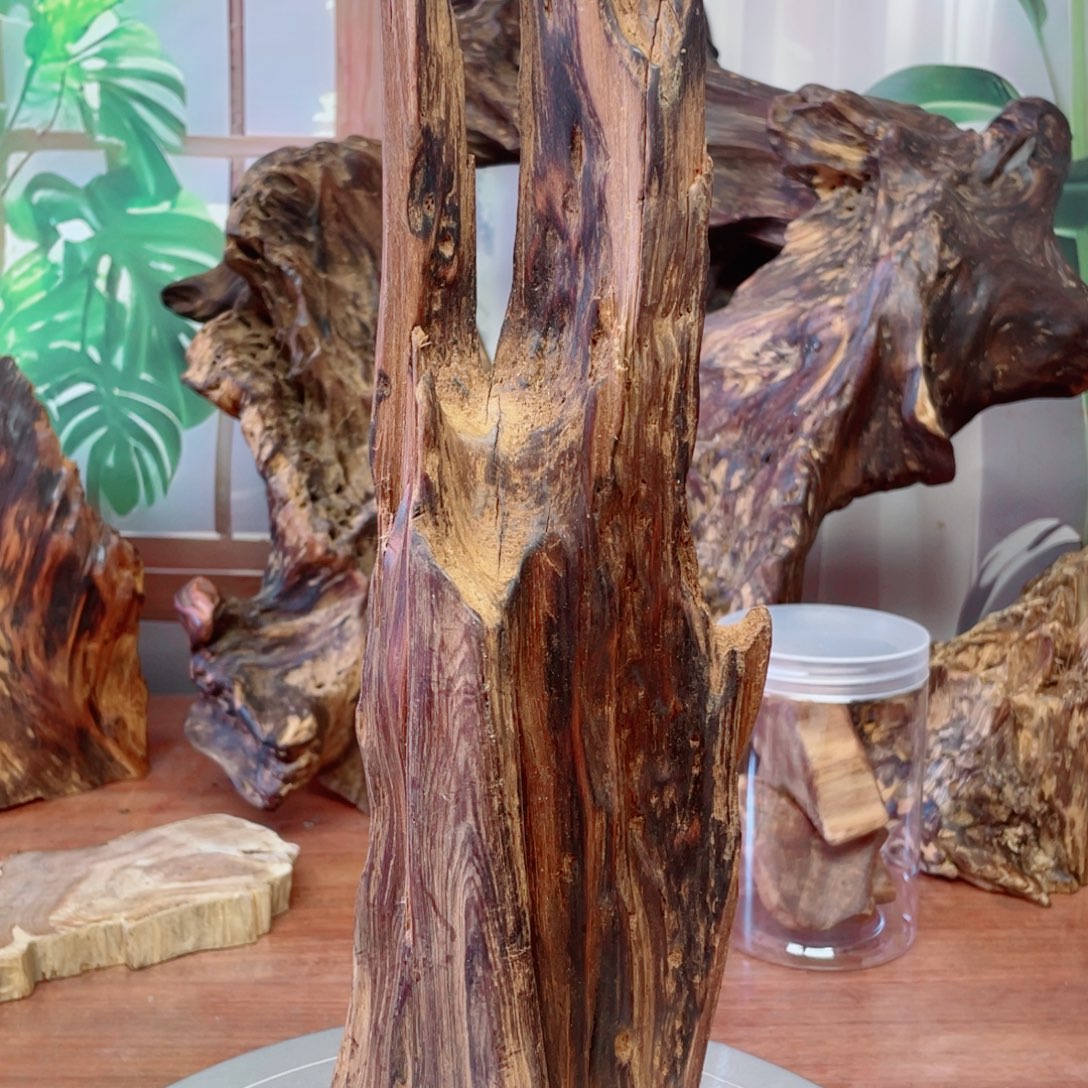 吉***祥你明明窜女命哟呵名