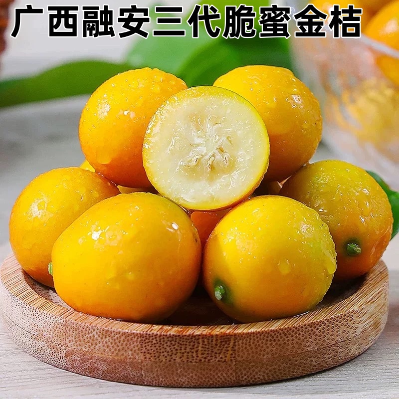 正宗脆蜜金柑第三代广西融安脆蜜金桔鲜果皮蜜桔应季水果