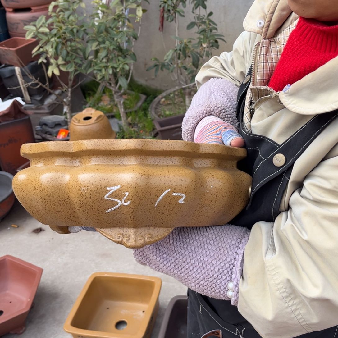 紫砂花盆盆景艺术