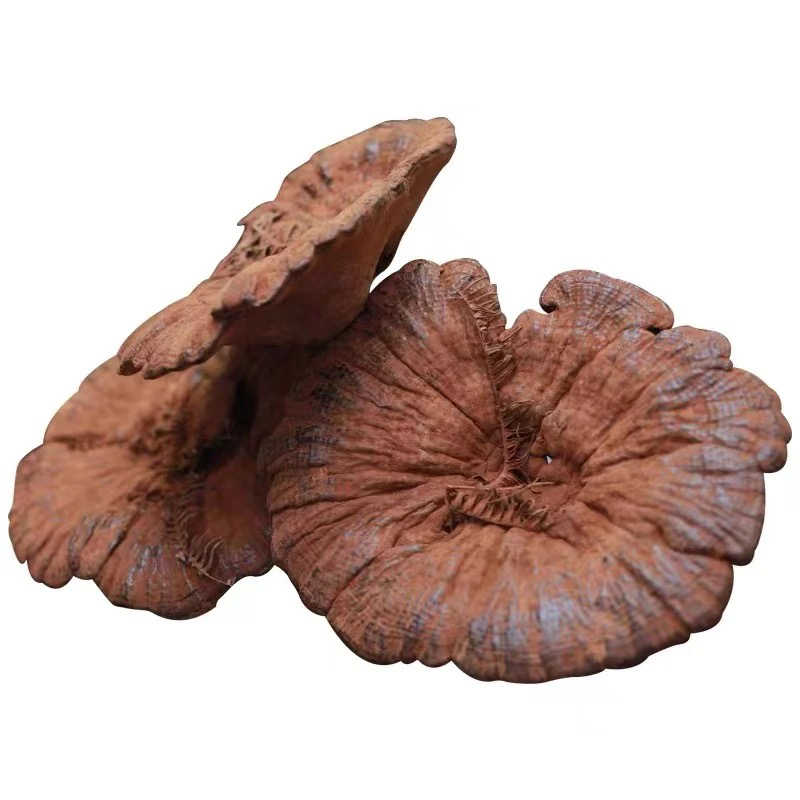 云南 高山 (灵枝) 500g