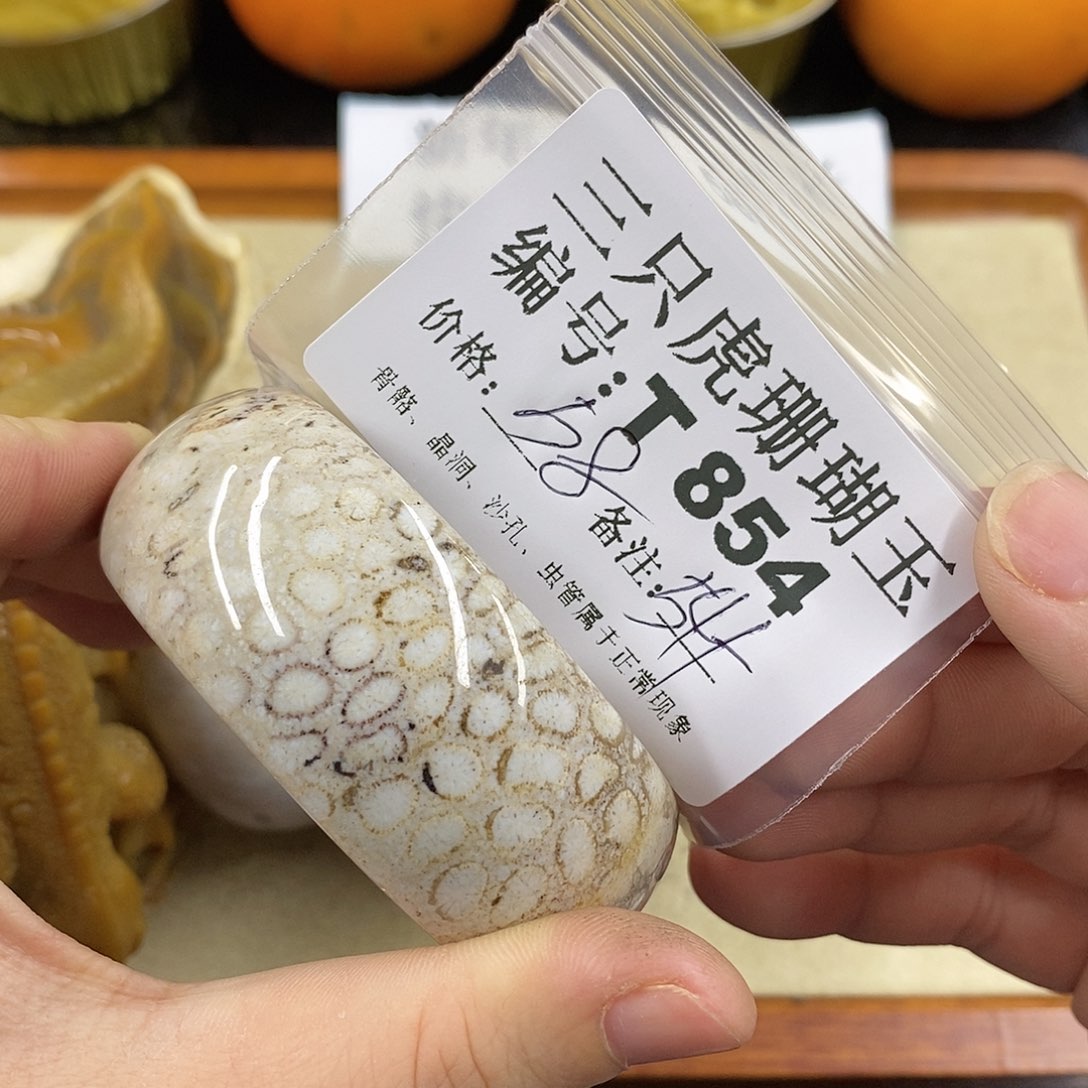 硅化珊瑚（珊瑚玉）1未镶嵌丽*