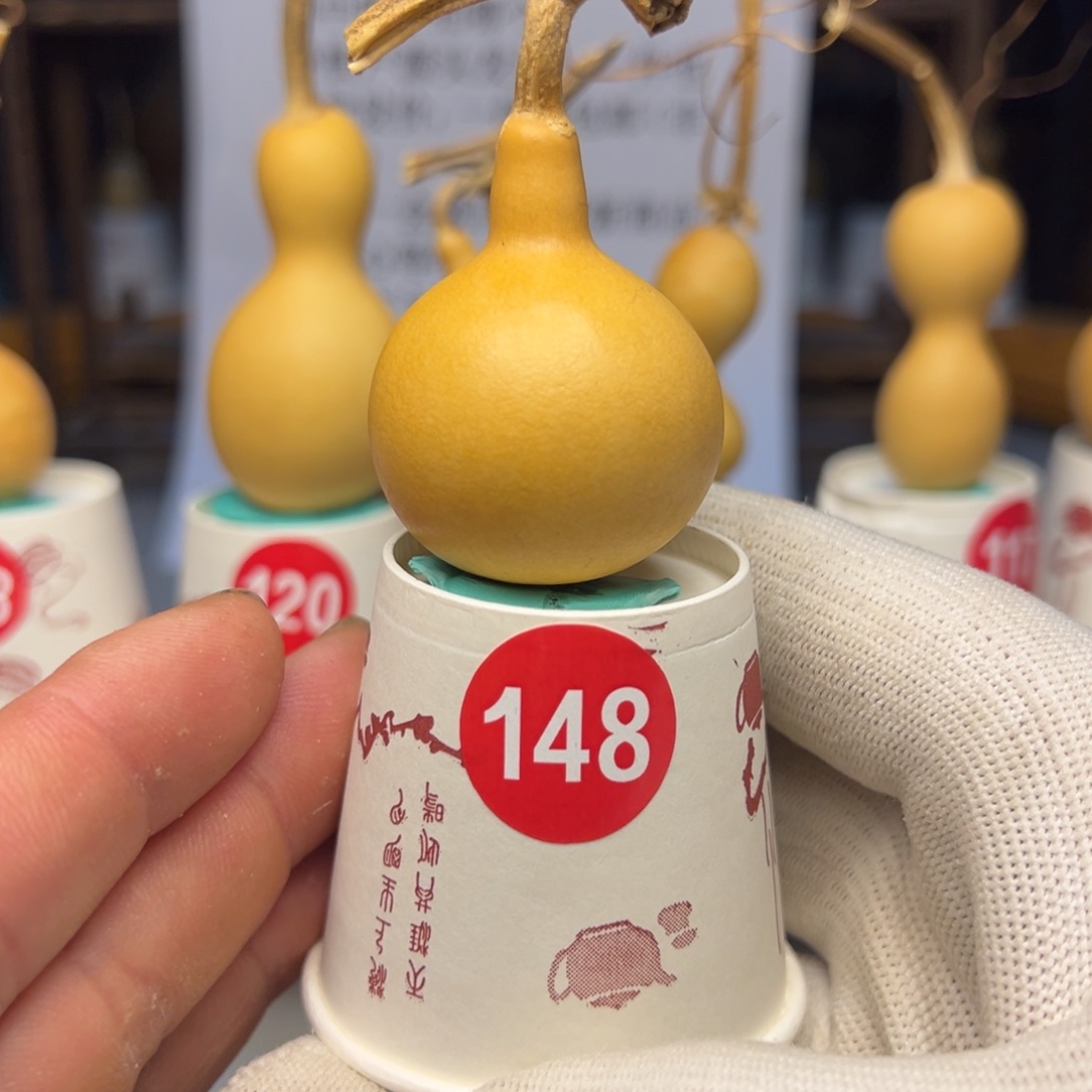 闪电购自助下单编号148