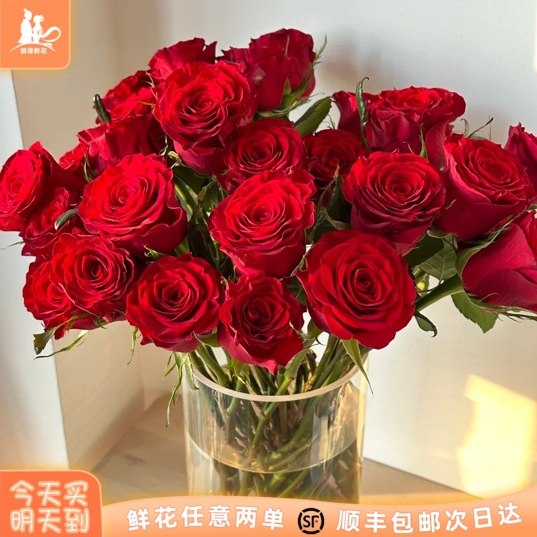 次日达-【红玫瑰】10支红玫瑰鲜花批发直播任意两单升级顺丰包邮三单送随机花瓶一个今天拍明天到