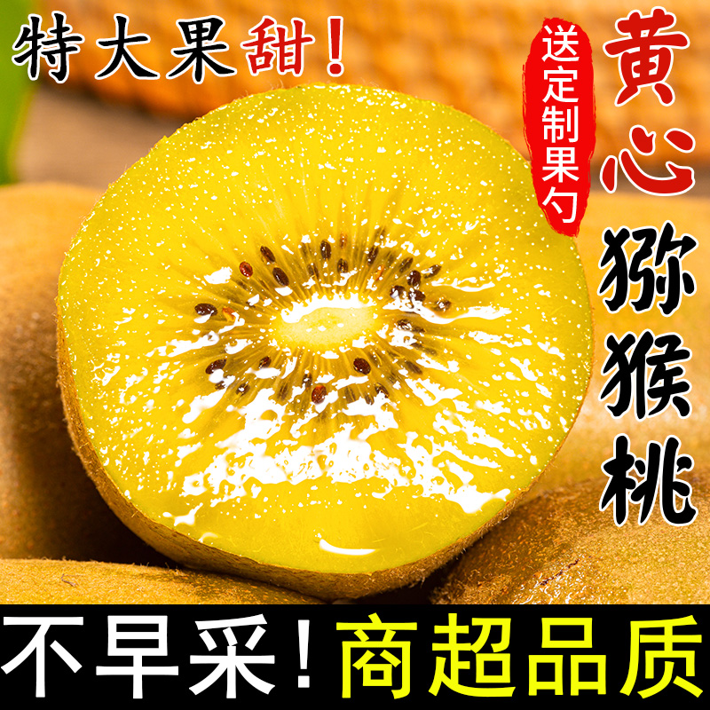 四川黄心猕猴桃中秋水果当季新鲜孕妇水果奇异果大果正宗整箱