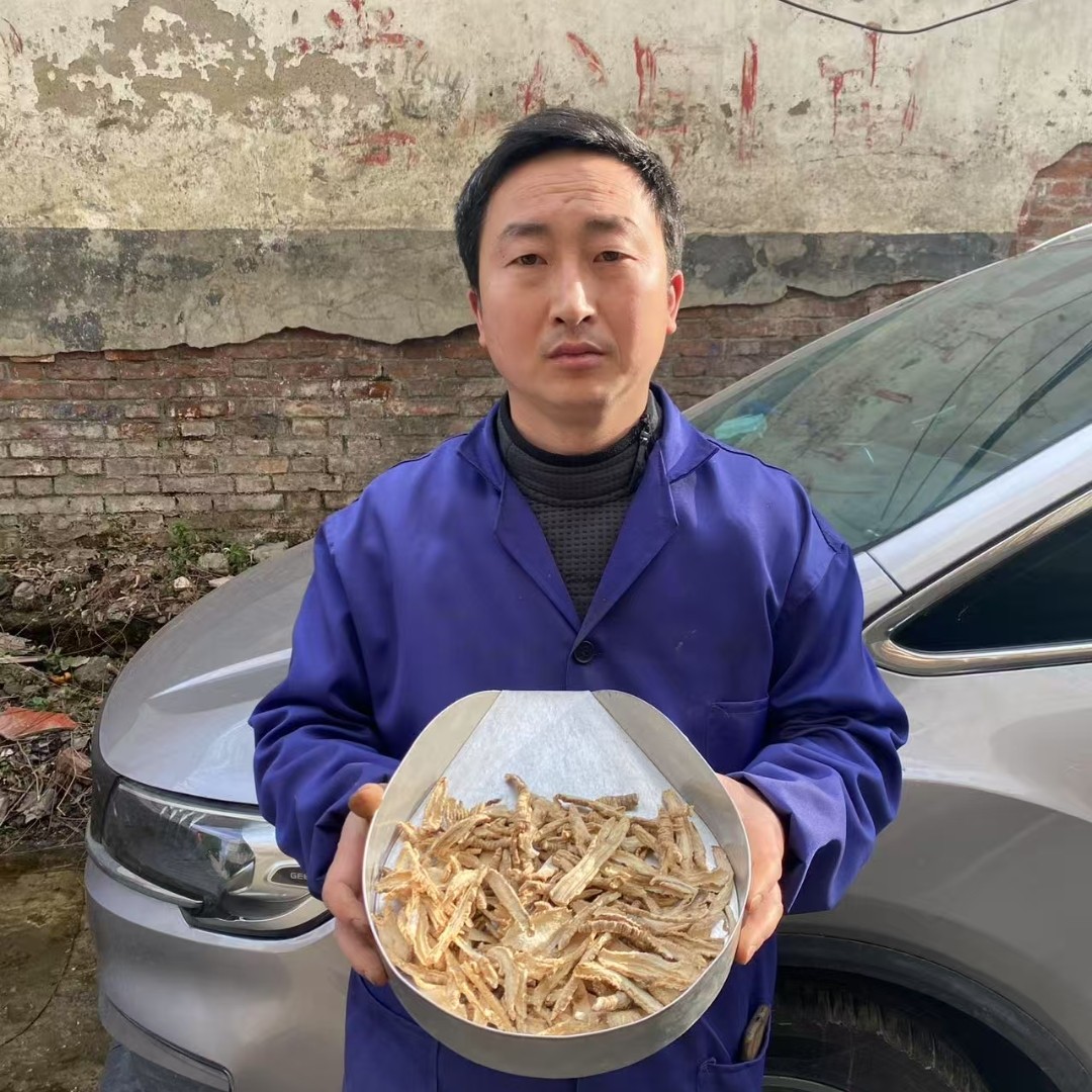 山海螺  湖南大山非种植山海螺奶参山萝卜干货