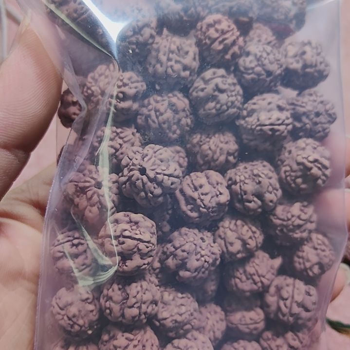 吊坠金刚菩提梅花散籽一包100颗左右