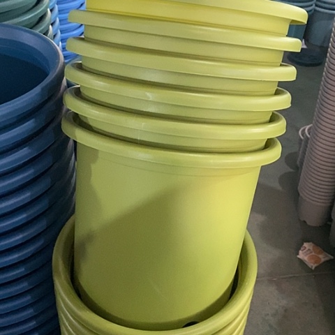 树脂特价6号7个无托果绿