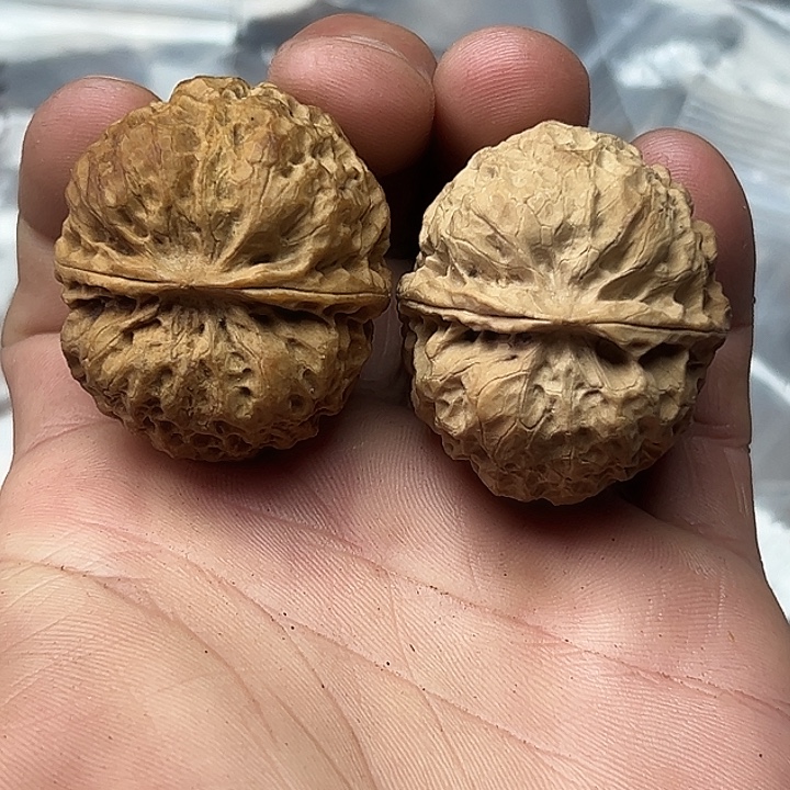 核桃33号麒麟绣球40尺