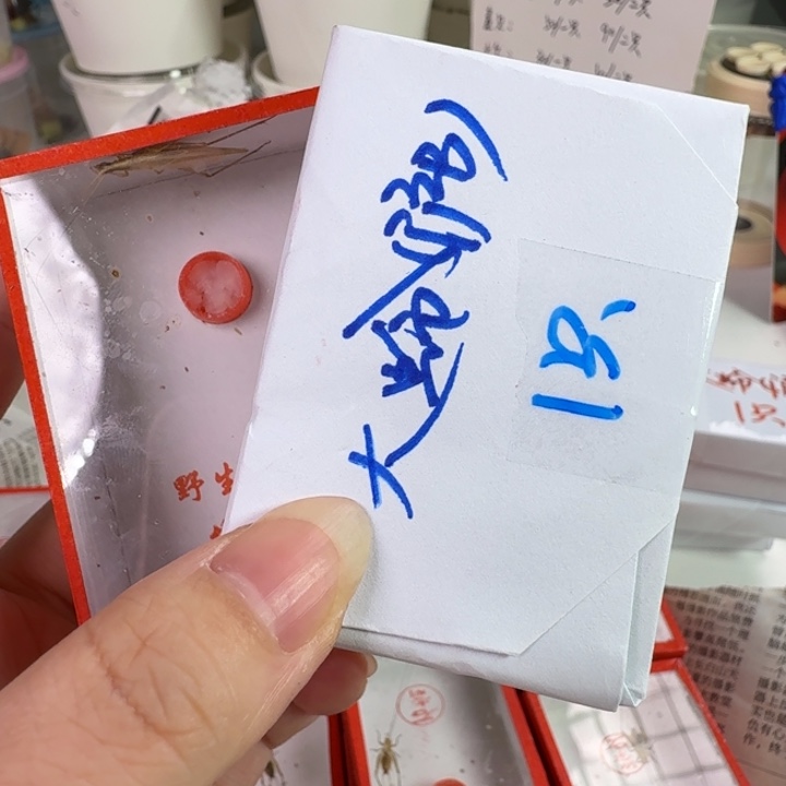 沪B和柬埔寨合适漂亮