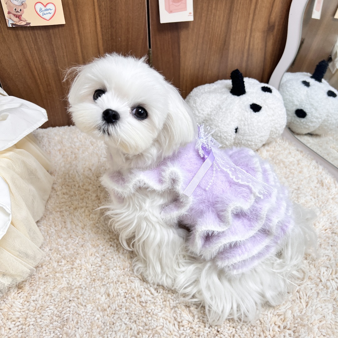 【2025新品尝鲜】比熊西施西高地马尔泰马尔济斯毛衣高品质宠物衣服