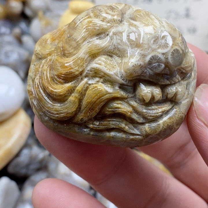 颈饰未镶嵌硅化珊瑚（珊瑚玉）